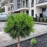 Powstancow A23 Z Dostepem Do Basenu Baltic Apartman *