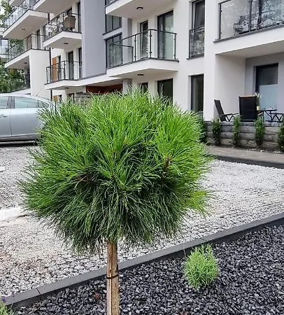 Powstancow A23 Z Dostepem Do Basenu Baltic Apartmán *