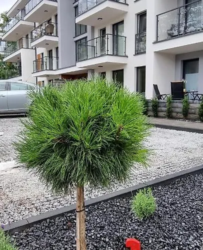 Powstancow A23 Z Dostepem Do Basenu Baltic Apartment *